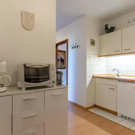 De-ole-krabbenfischer * Tönning