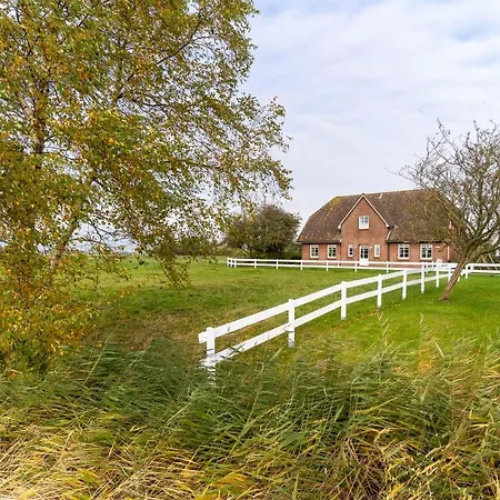 De-ole-krabbenfischer