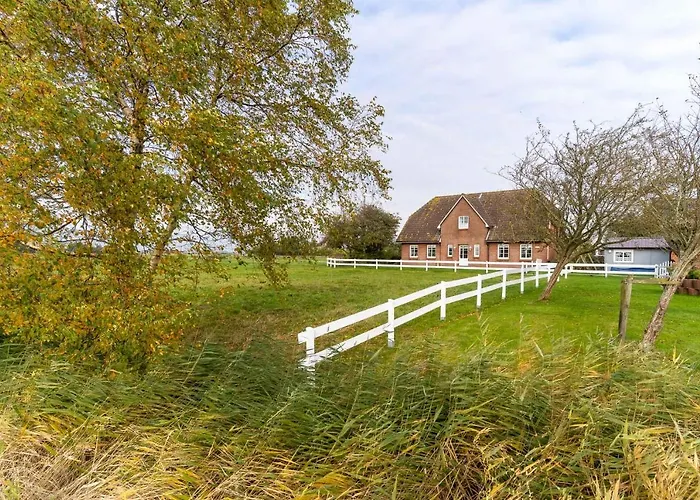 De-ole-krabbenfischer